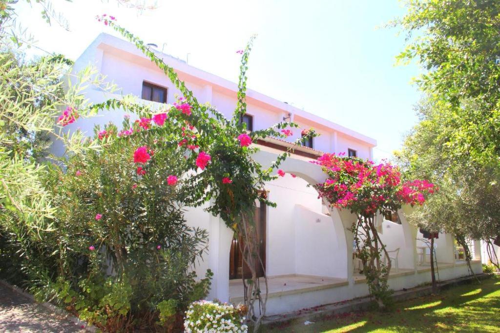 Bare Hill Holiday Apartments Krini Extérieur photo