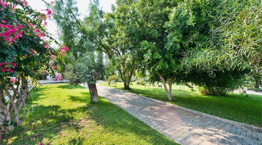 Bare Hill Holiday Apartments Krini Extérieur photo