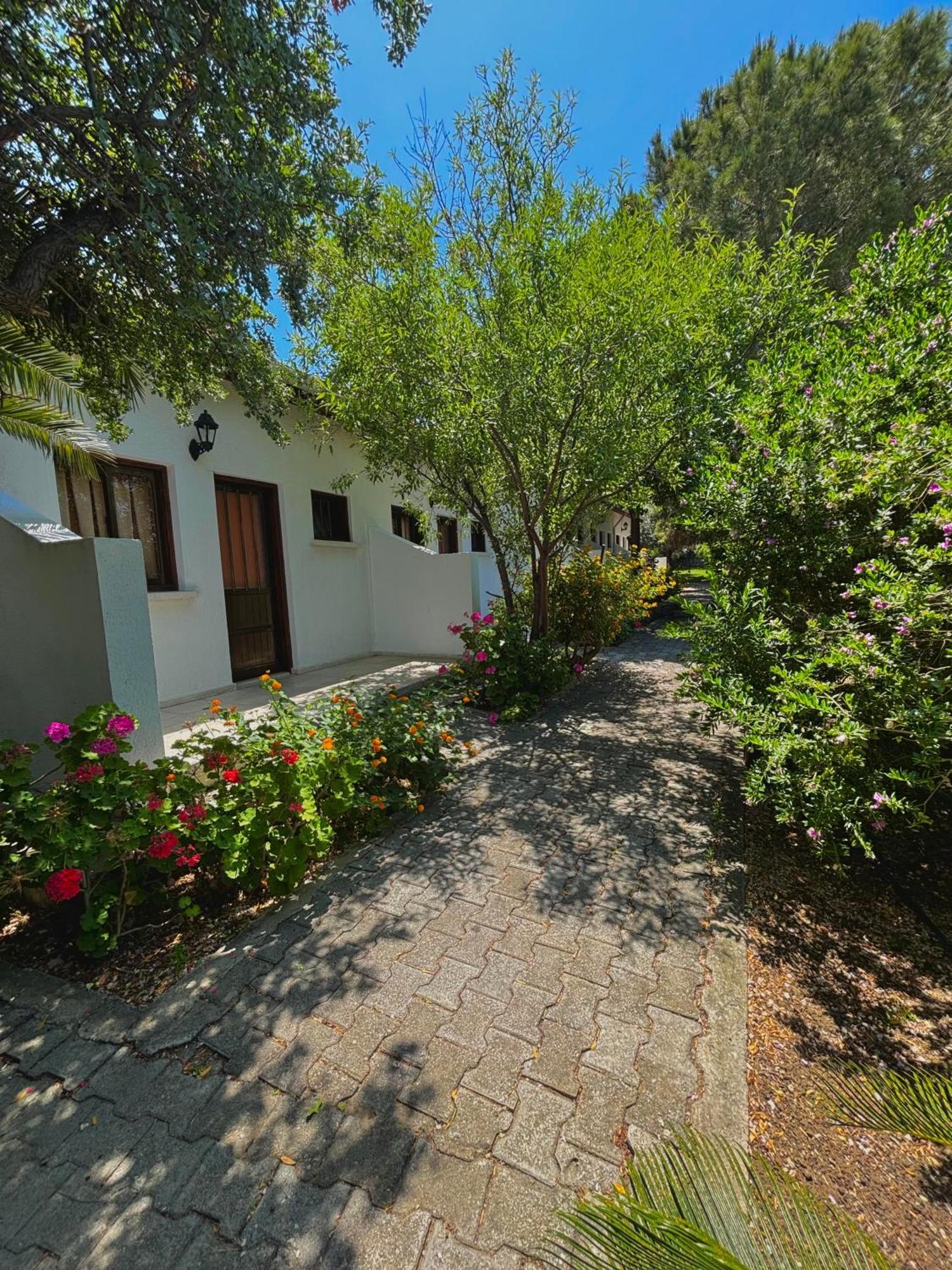 Bare Hill Holiday Apartments Krini Extérieur photo
